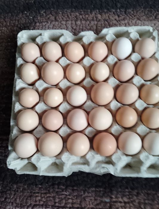 Домашние яйца с доставкой по Днепру