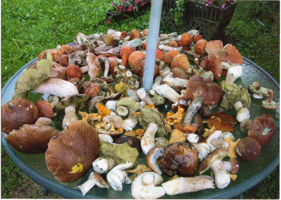 domki  nad jeziorem agroturystyka mazury