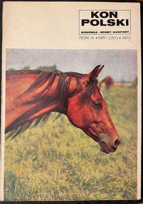 Koń Polski. Rocznik 1975