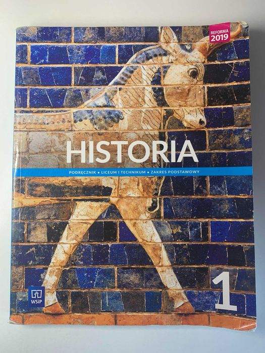 Historia 1, WSiP