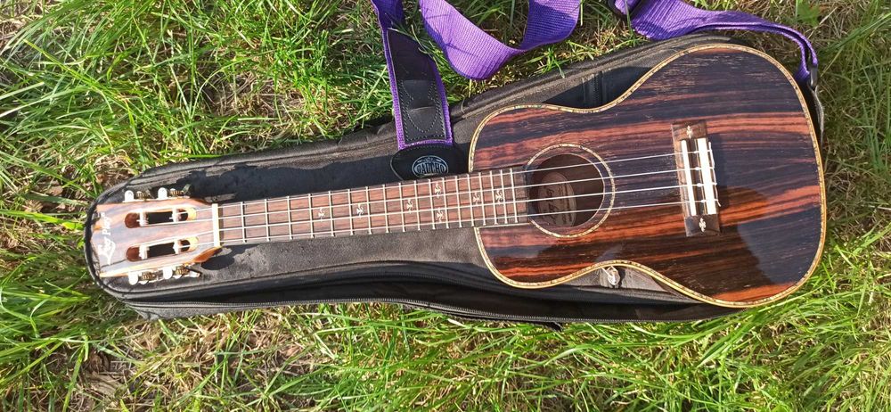 Ukulele Ever Play (heban)