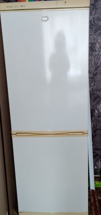 Холодильник Snaige