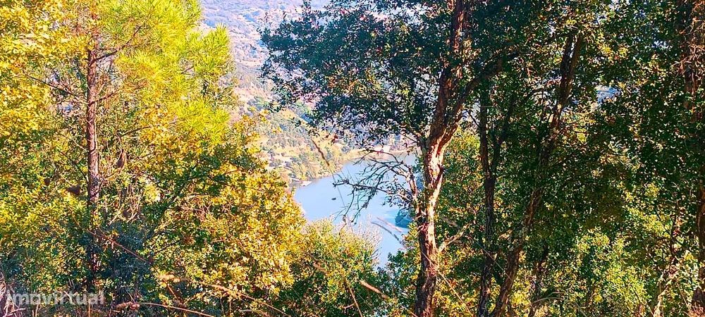 Terreno de uso múltiplo: agrícola e florestal em Santa Marinha do Zêze — Santa Marinha do Zêzere, Porto