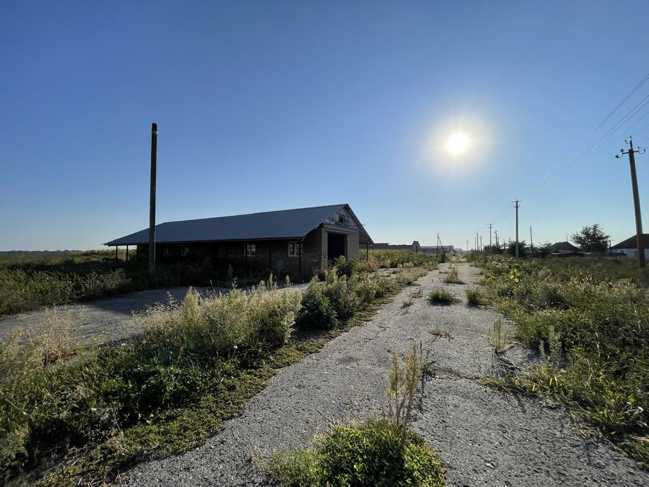 Молочно товарна ферма