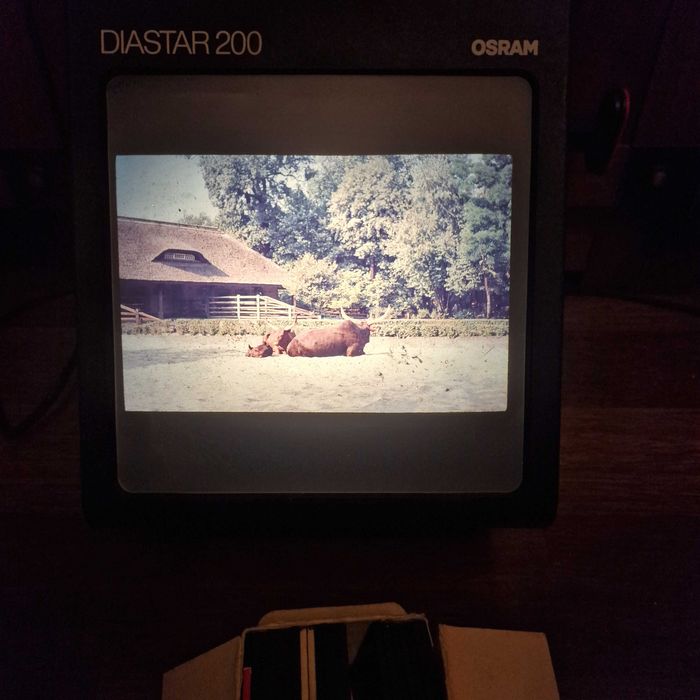 Diastar 200 Osram Rzutnik Do slajdów z Ekranem