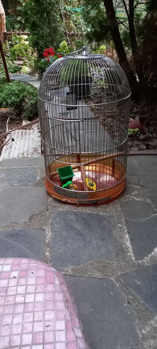 Большая клетка из нержавейки