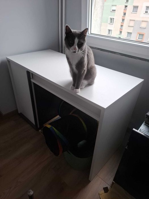 Biurko w bardzo dobrym stanie