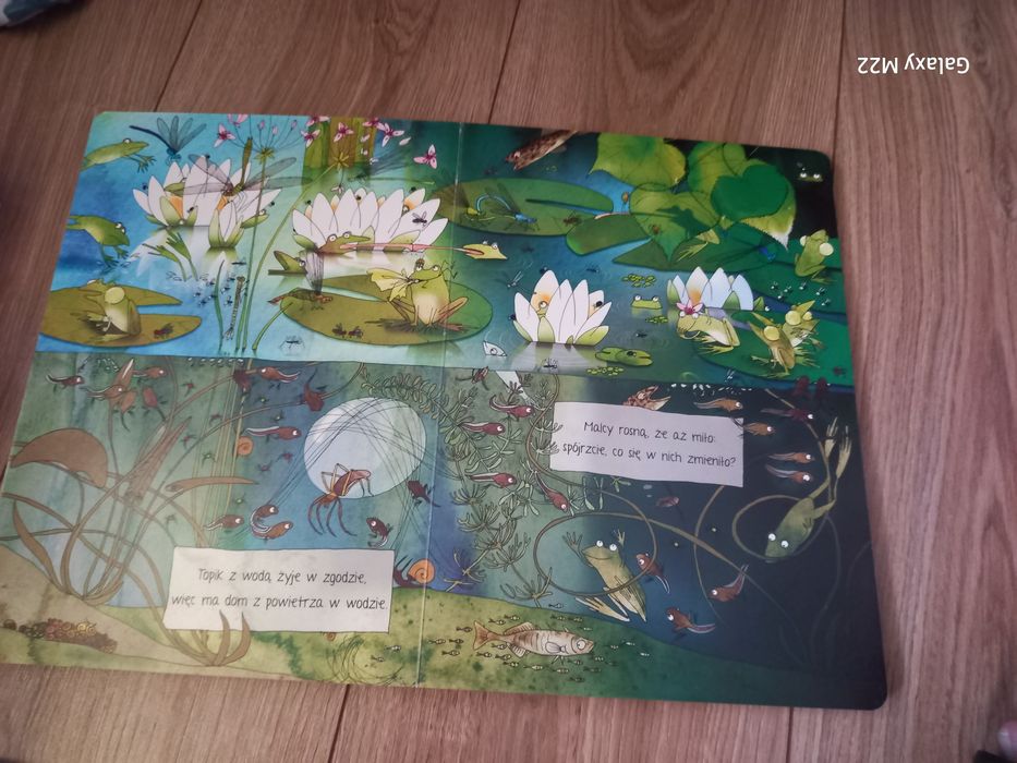 Co robią żaby opowiem ci mamo