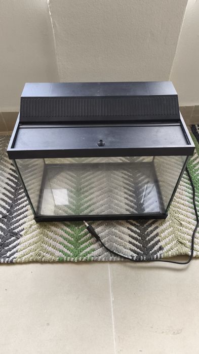 Aquário pequeno, com lâmpada