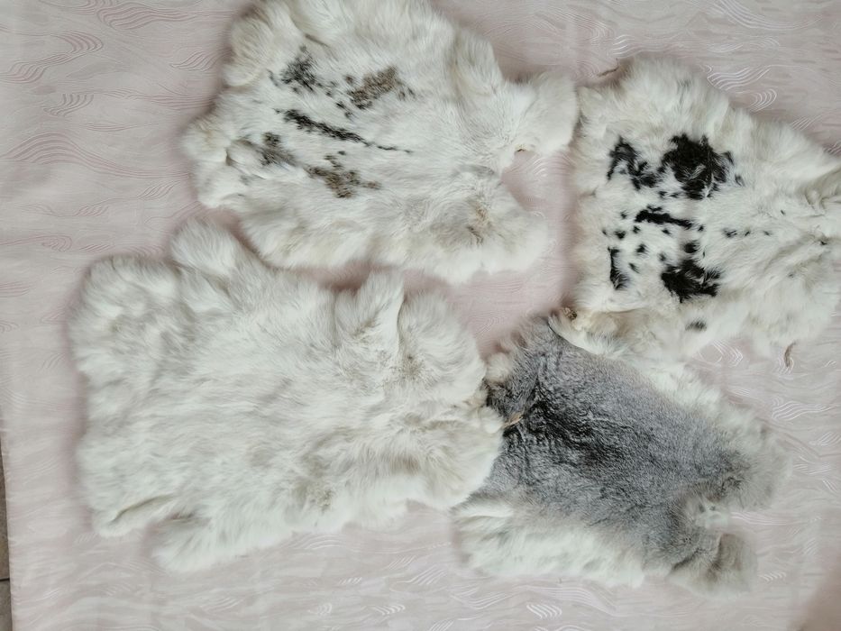 Шкуры кроля и песца