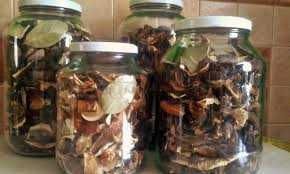 Sprzedam suszone grzyby