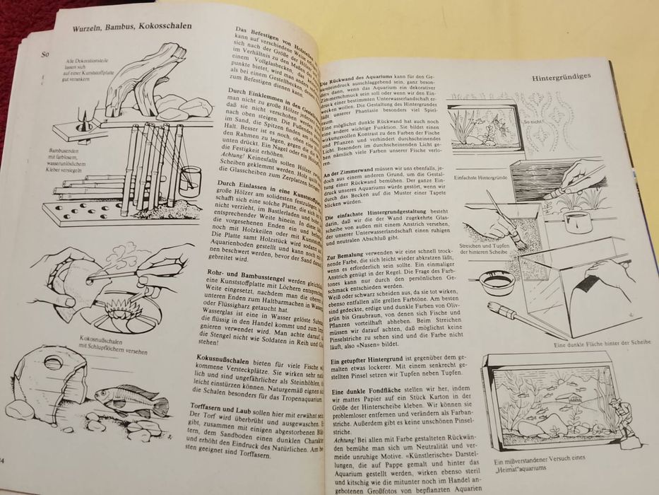 Аквариум. Всё с самого начала