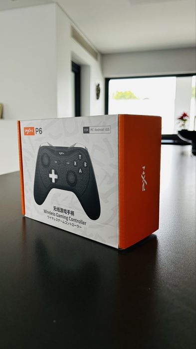 PXN  P6 - Controller