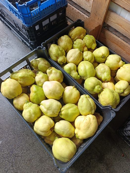 Marmelos Minimo 5 kg