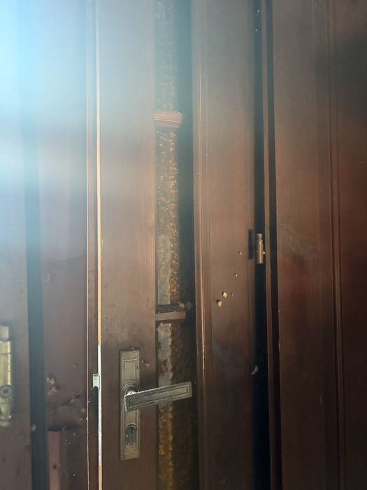 Двері вхідні однопольні і двохпольні