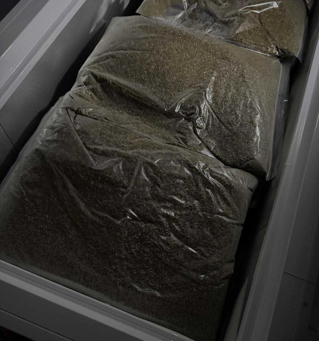 Мороженный Гаммарус