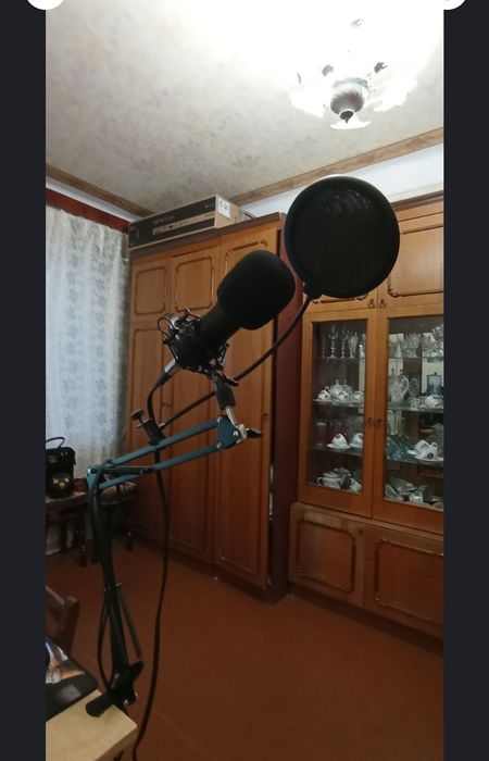 Професійний мікрофон.