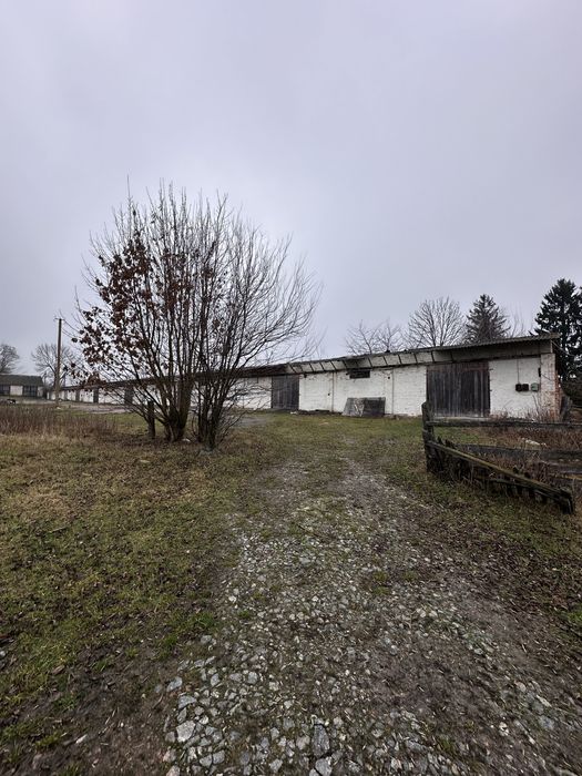 Приміщення , ангари , оренда , ферми,продаж , Село пятка