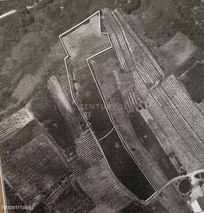 Terreno Agrícola à Venda em Mamarrosa - 9160m²