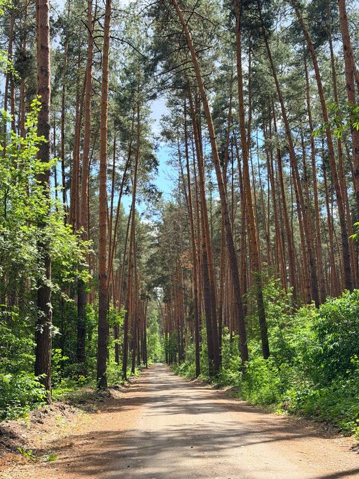 Ділянка земля серед лісу поруч з озером. Закрита територія! 12хв до Ірпеня! Вже можна будуватись