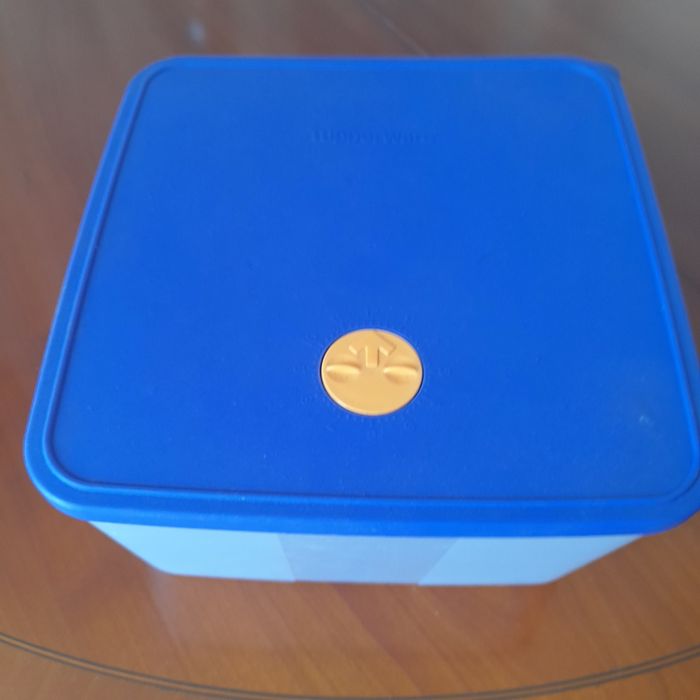 Caixa tupperware496776244647710720