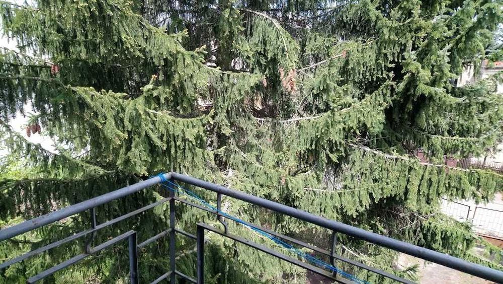 Pokój dwuosobowy do wynajęcia Poznań Wola Dąbrowskiego