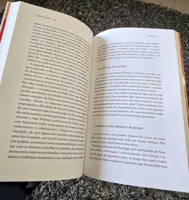 Drive: The Surprising Truth64564269527042124