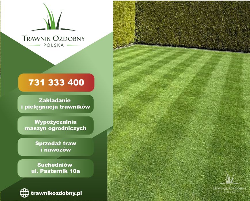 Trawnik Ozdobny. Zakładanie, nawadnianie, nawożenie, pielęgnacja.