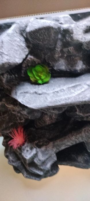 Ścianka do terrarium