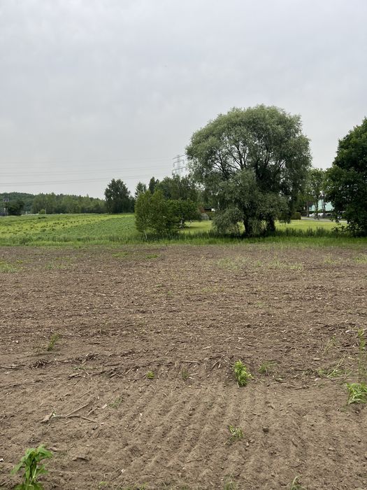 Działka budowlana w Suszcu