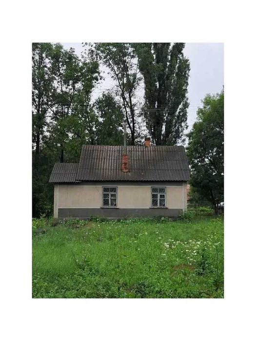 Нежитлові будівлі 277 кв. м, Хотин, вул. Шевченка, 75А