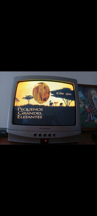 DVD Pequenos Grandes Elefantes