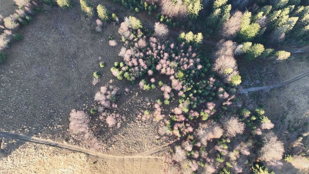 Земельна ділянка у Микуличині 0.76 га