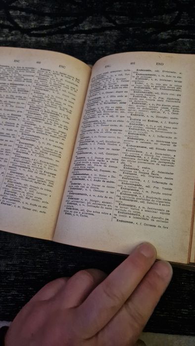 Dicionário Francisco Torrinha