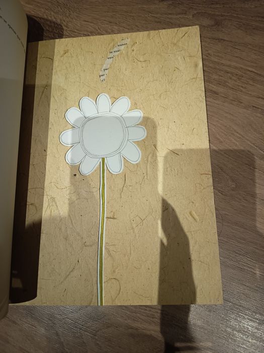 Morte e Nascimento de uma flor