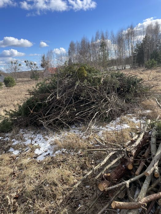 Drewno opał gałęzie z czyszczenia działki za darmo