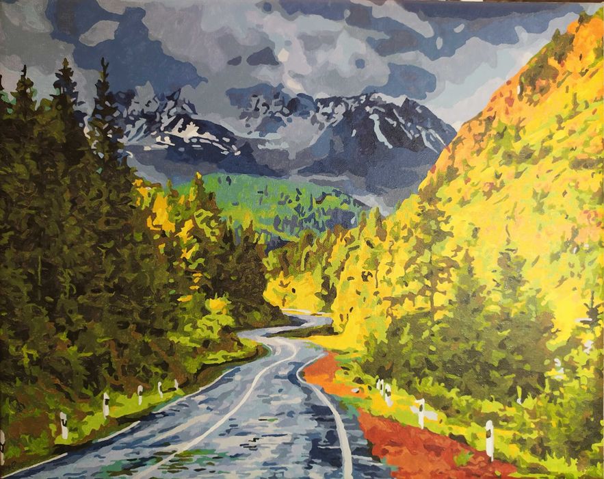 Картина по номерам 50*40см (ГОТОВА)