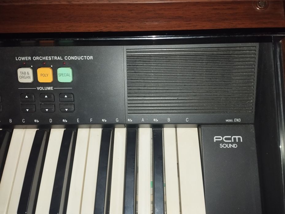 Órgão Techcnics En3 PCM Sound