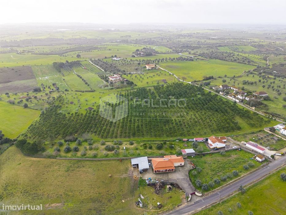 Terreno Rústico  Venda em Romeira e Várzea,Santarém