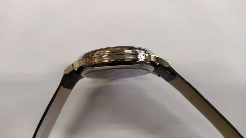 Mołnia pasówka pilot