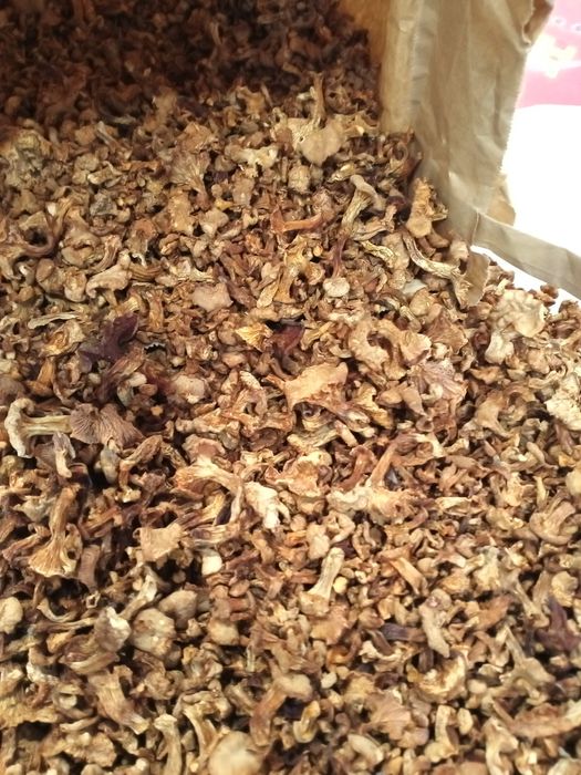 Suszone grzyby kurki