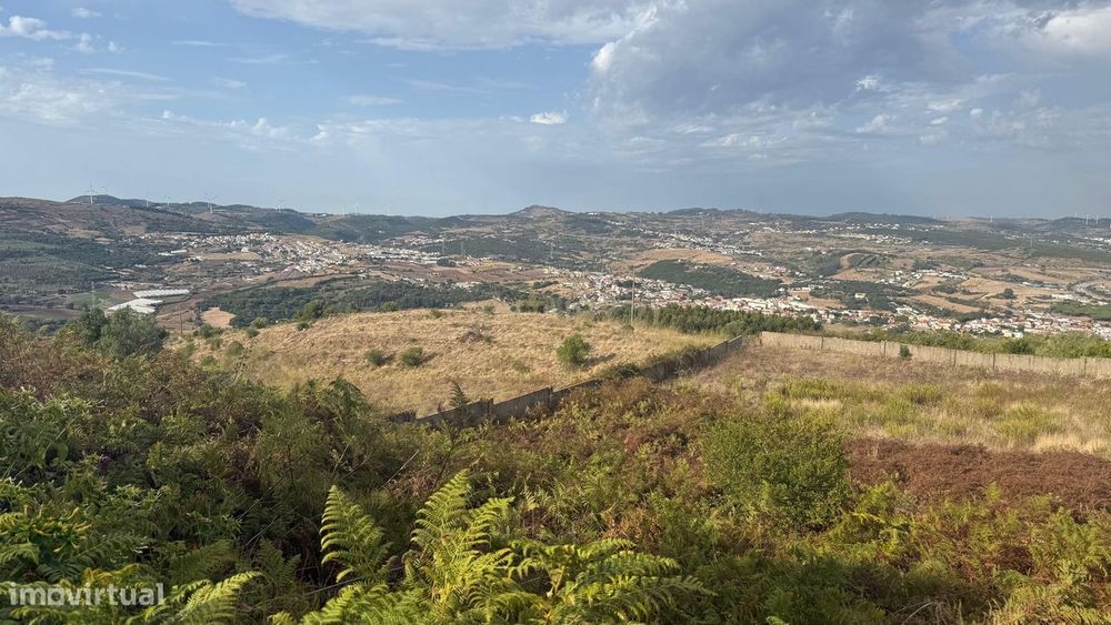 Oportunidade única! Terreno Rustico em Loures/Montemor