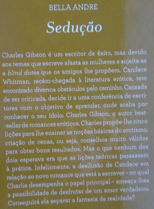 Sedução de Bella Andre