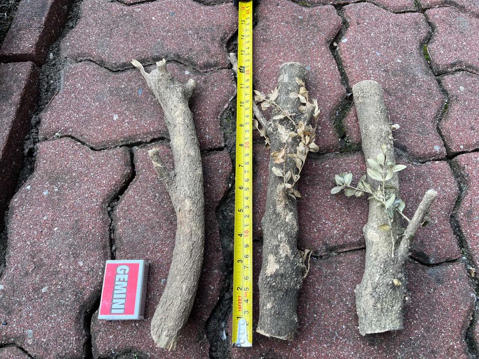 bukszpan drewno do rzeźbienia bydgoszcz rzeźbienie figurki