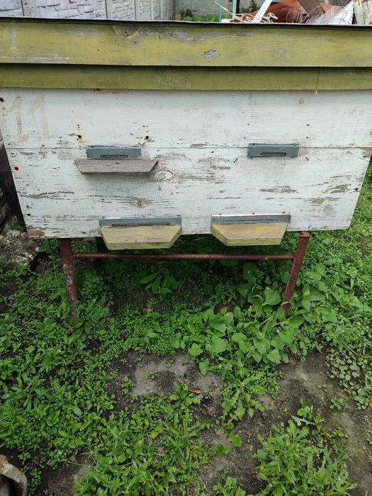 Продам улики для пчёл.