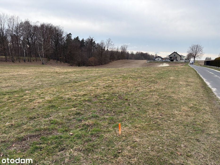 Działki Budowlane, Jastrzębie-Zdrój Ul. Tęczowa