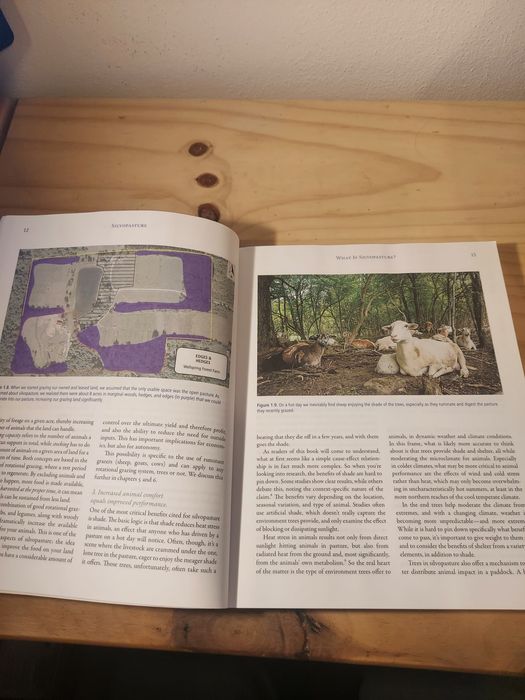 Silvopasture de Steve Gabriel (Inglês)