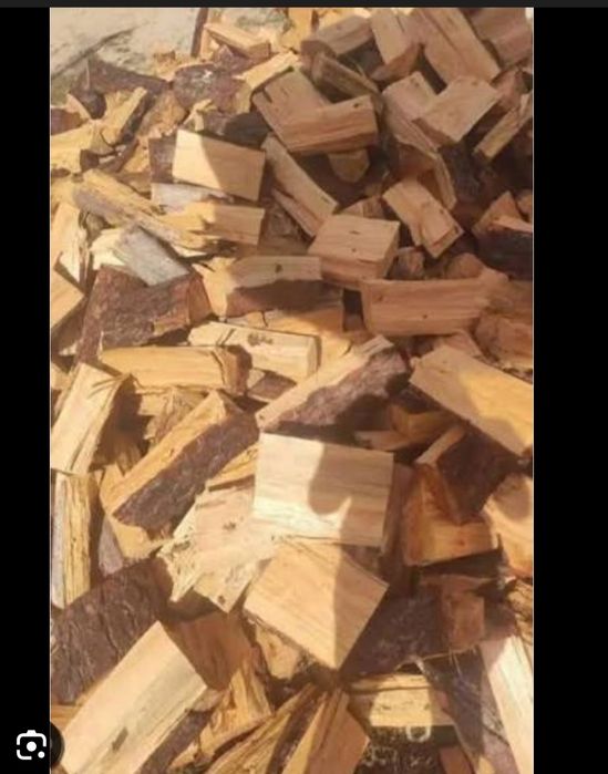 Venho lanha de pinho seca