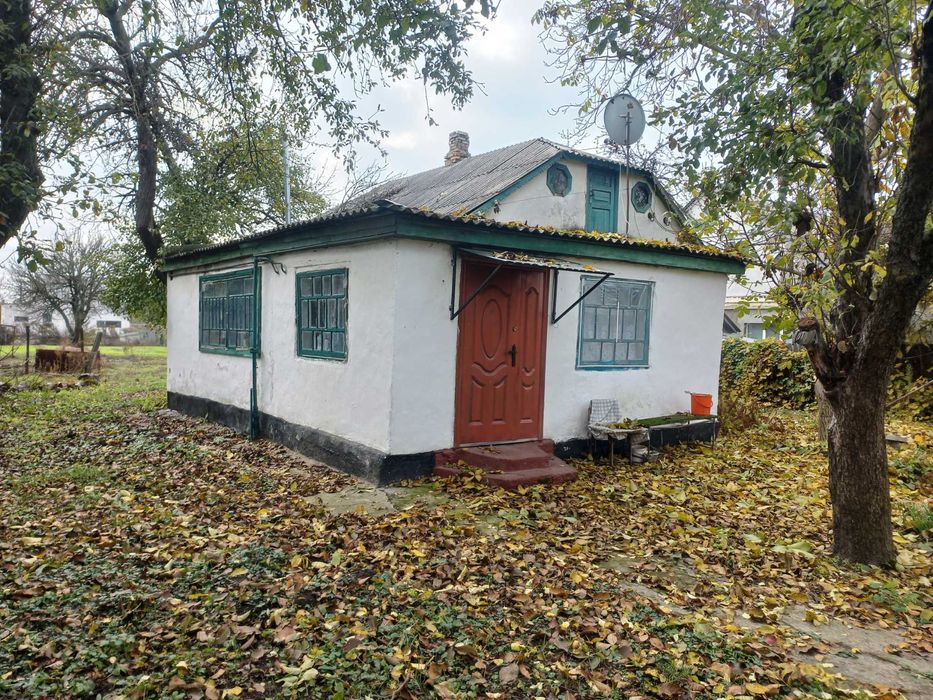 Княжичі, будинок 85кв.м. в центрі села з комунікаціями, 20 соток