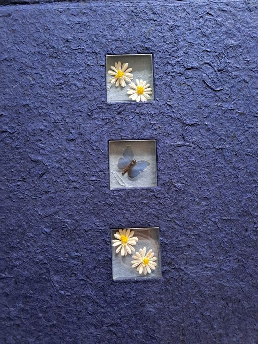 Album na zdjecia wklejane 23x31 cm, 20 kartek